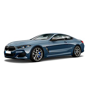 Renting BMW Eléctrico