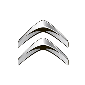 Citroen segunda mano