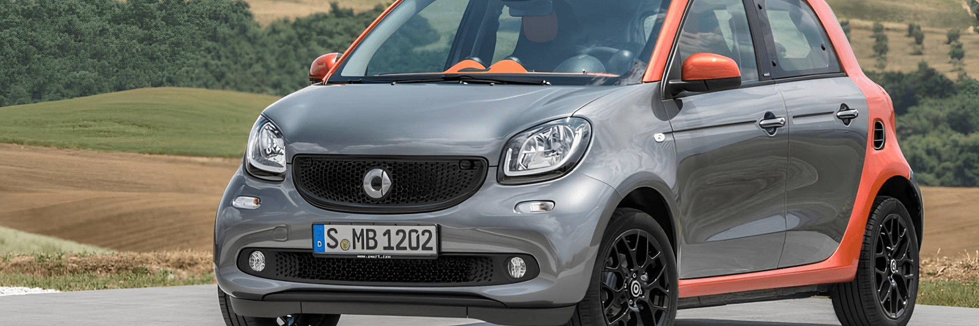 Problemas del Smart Forfour 1.5 Cdi