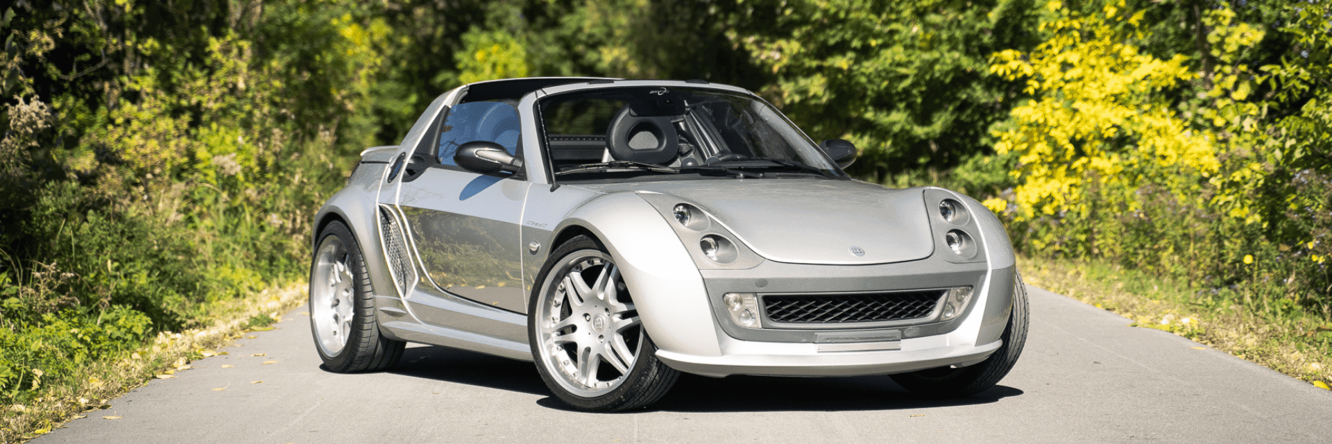 Problemas del Smart Roadster