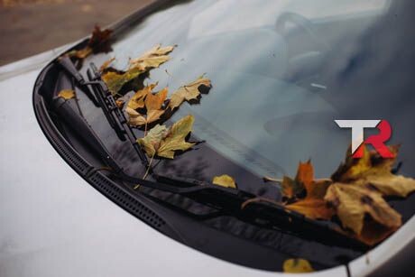 Características para elegir un Jaguar 7 Plazas