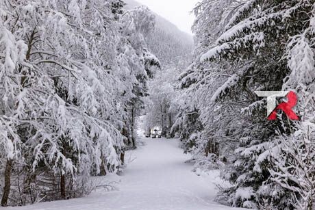 Mejores modelos de Coches compactos con maletero grande