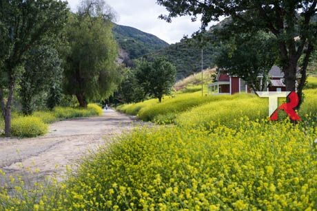 ¿Por qué los Coches son tendencia este año?
