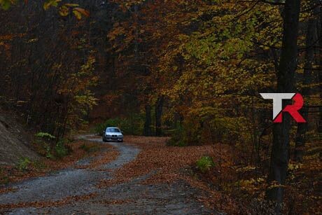Identifica problemas comunes de tu coche