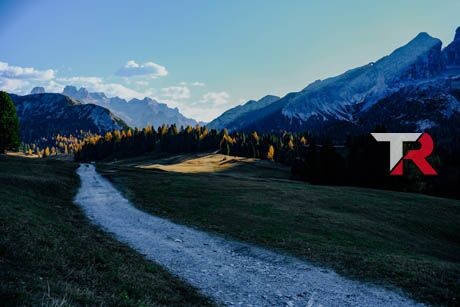 Características para elegir un Citroën 9 plazas