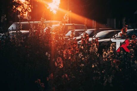 Identifica problemas comunes de tu coche