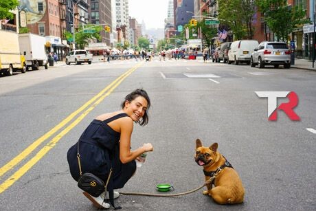 Identifica problemas comunes de tu coche