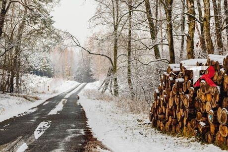 Características para elegir un Coches de 4 plazas pequeños