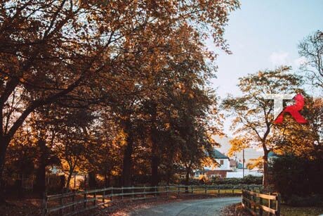 ¿Cuánto espacio necesito?