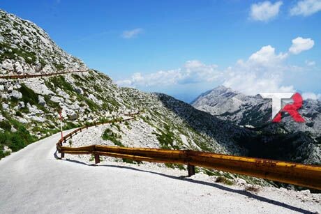 Prolonga la vida de tu motor