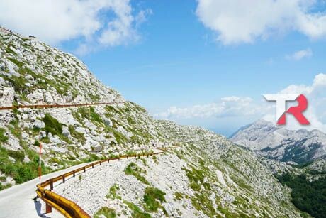 Elige bien y conduce tranquilo