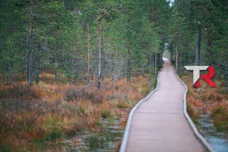 Opciones para mejorar la seguridad en ruta