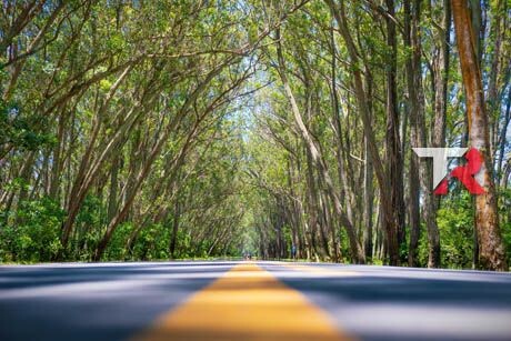 Elige bien y conduce tranquilo