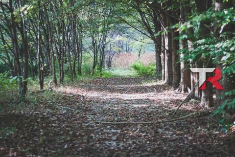 Elige bien y conduce tranquilo