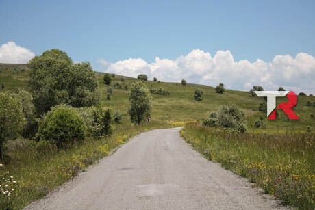 Prolonga la vida de tu motor