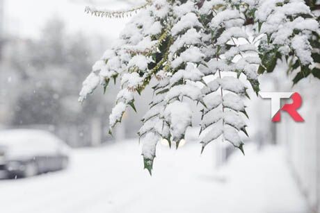 Prolonga la vida de tu motor