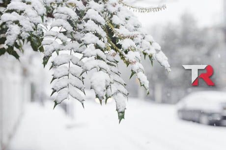 Razones para elegir Grandes coches económicos