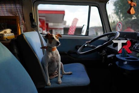 ¿Cuánto espacio necesito?