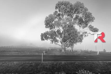 Prolonga la vida de tu motor