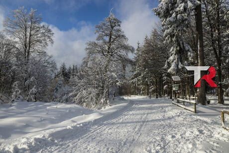 Prolonga la vida de tu motor