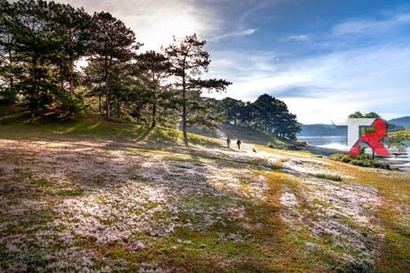 Prolonga la vida de tu motor