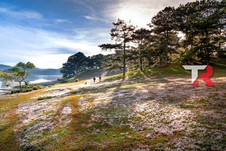 Elige bien y conduce tranquilo