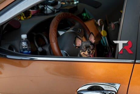 ¿Cómo se desarrollaron los motores?