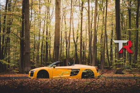 Explorando el mundo deportivo