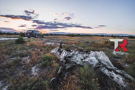 Prolonga la vida de tu motor