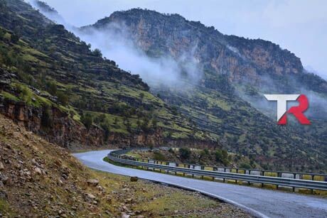 Características de Combi furgonetas medianas