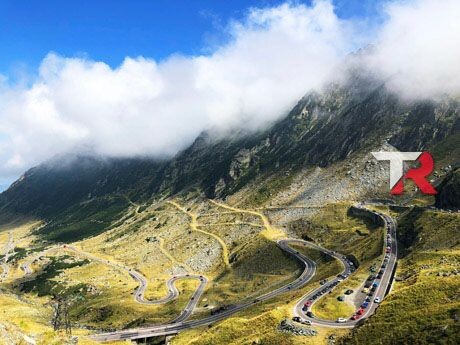 Tipos de Coches Clásicos para Bodas
